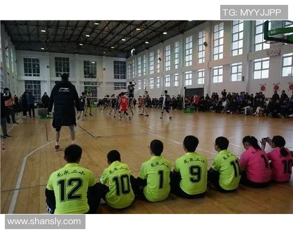 聚焦排球运动成都排球队如何塑造独特比赛节奏与团队协作精神