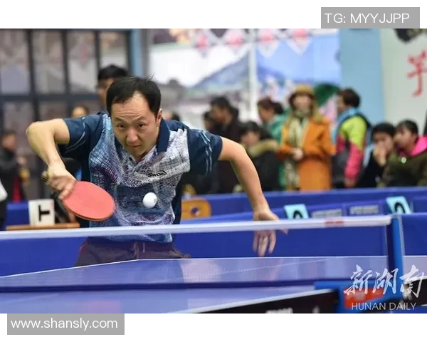 专访刘强：揭秘乒乓球背后的成功秘诀与成长之路