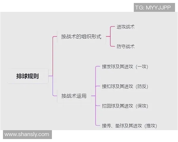南京排球队整体压制打法深度分析与战术解读 南京排球队整体压制打法深度分析与战术解读