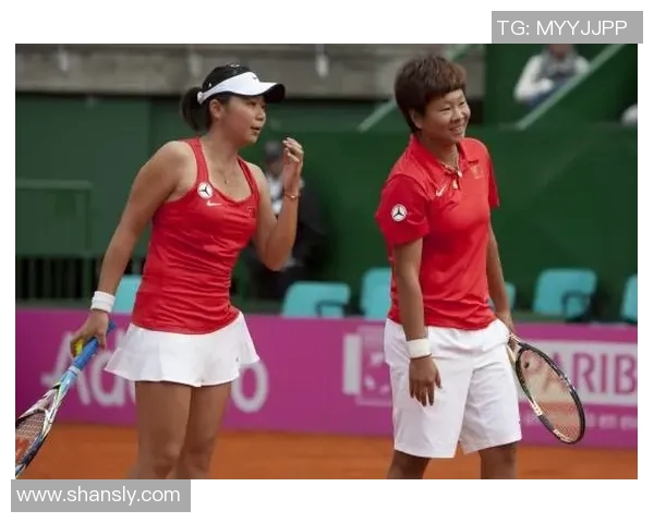 南京网球队在全国锦标赛中的战术分析与表现评估