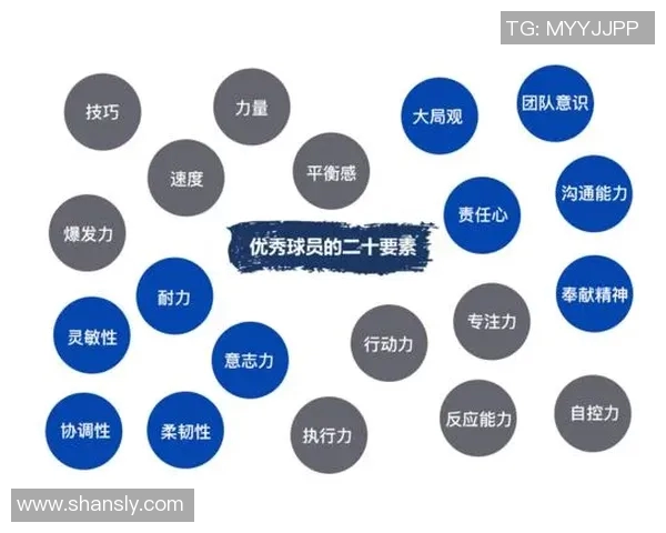 深圳篮球队精英赛战术解析与表现评估的深度分析