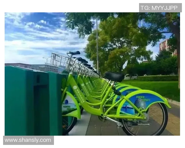 荷兰足球明星坚持绿色出行选择不坐飞机的环保理念与行动 荷兰足球明星坚持绿色出行选择不坐飞机的环保理念与行动